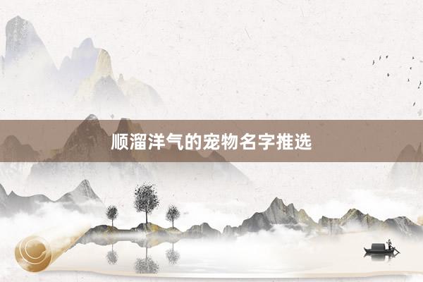顺溜洋气的宠物名字推选